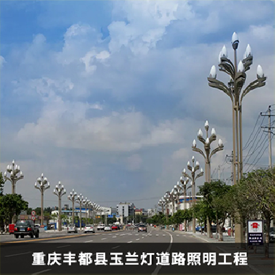 玉兰灯道路建设工程