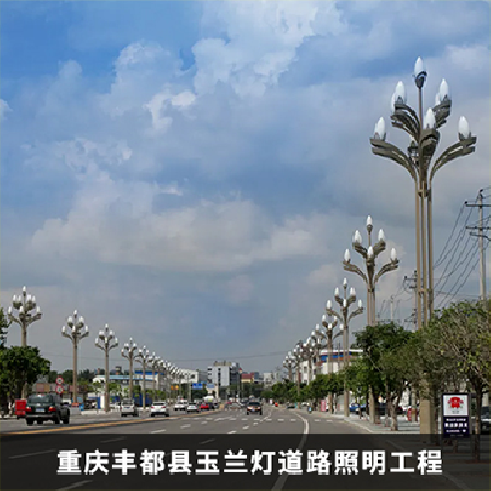 玉兰灯道路建设工程