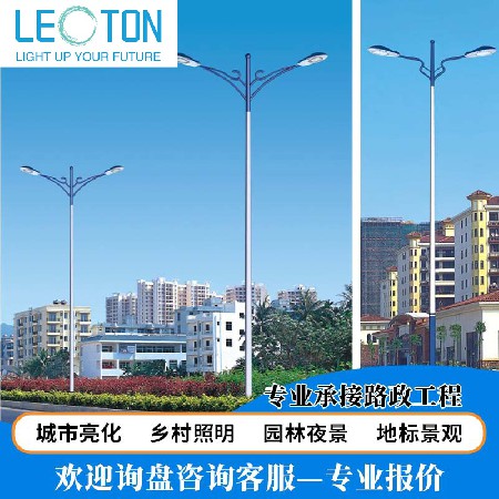 Outdoor LED street lights with distinctive shapes, landscape lights, urban road lights, municipal engineering lighting, super bright 8-12m street lights