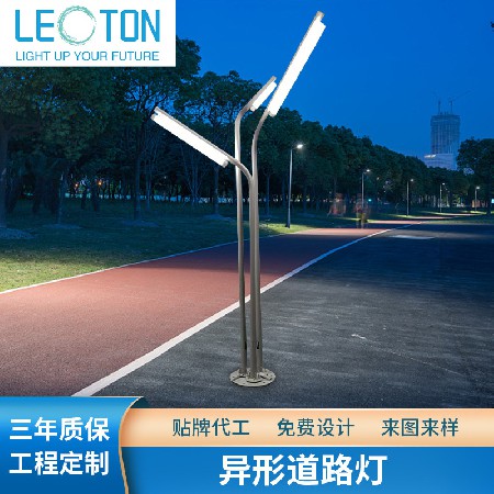 Leoton Outdoor Landscape Lighting Highway Viaduct Street Lighting Square Park Lawn Waterproof Street Lighting Factory Supply